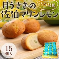 月うさぎの佐伯マリンレモン (計15個) レモン レモンケーキ スイーツ スウィーツ 菓子 焼き菓子 洋菓子 おやつ セット 個装 大分県 佐伯市【ER003】【(株)古川製菓】