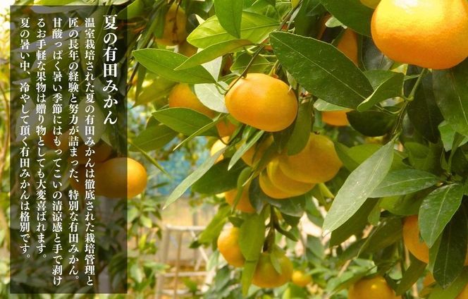 夏の有田みかん (約1kg) と有田のみかんジュース（500ml×2本）和歌山県産 産地直送 	AX156