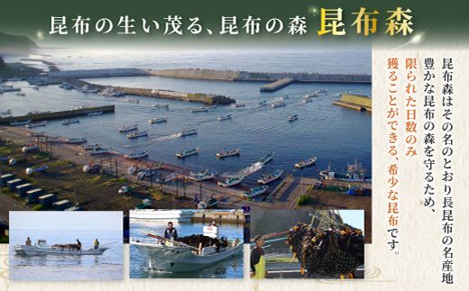 北海道昆布森産 本場の本物 昆布セット 100g×5個 | 昆布 国産 海藻 カット こんぶ ギフト お祝い 備蓄 保存 料理 北海道 昆布の森 昆布森 昆布の日 こんぶの日 11月15日 北海道 釧路町 釧路超 特産品 121-1266-12