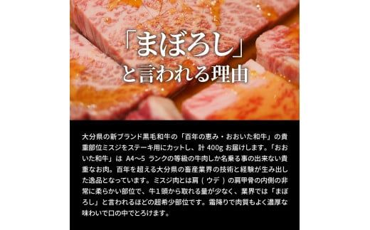 【A4～A5等級】おおいた和牛ミスジステーキ400g/100g×4枚_1103R