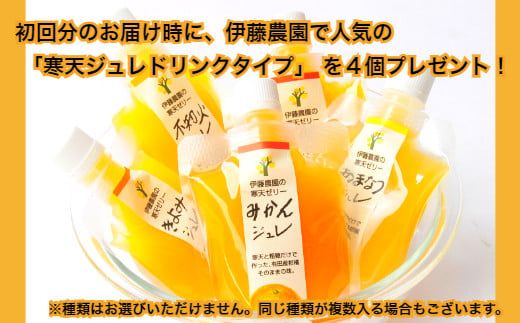 562.【定期便】伊藤農園 寒天ジュレドリンクタイプ12個セット(6ヶ月お届け)(A562-2)