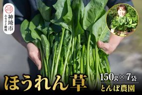 ほうれん草 約1kg（150g x 7袋）【ハウス栽培 産地直送 クール便 佐賀県脊振山麓産】(H091113)