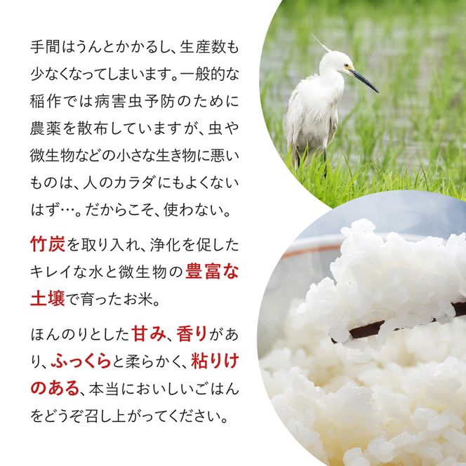 令和5年産 出口崇仁農園のコシヒカリ 有機栽培米【玄米5kg】世界に一つだけのお米 ※着日指定不可 ※離島への配送不可