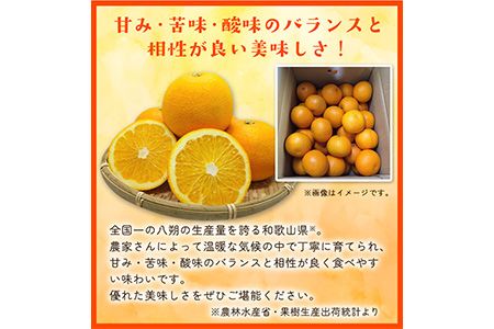 先行予約 和歌山県産 八朔(はっさく) 約10kg 前商店《2025年1月上旬-1月末頃出荷》産地直送 柑橘---wsk_ucsbhsk_ac1_22_16000_10kg---