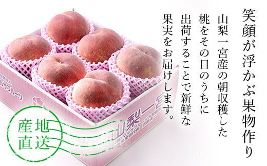 【2026年発送★先行予約】特大桃 5～6個入り 約2.0kg 山梨一宮産の桃 朝採り 産地直送  088-001-26y