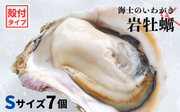 【のし付き】海士のいわがき 新鮮クリーミーな高級岩牡蠣 殻付きSサイズ×７個