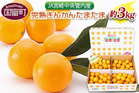 ＜宮崎県産完熟きんかんたまたま(約3kg)＞2024年2月上旬～3月末迄に順次出荷【a0260_ja_x1】