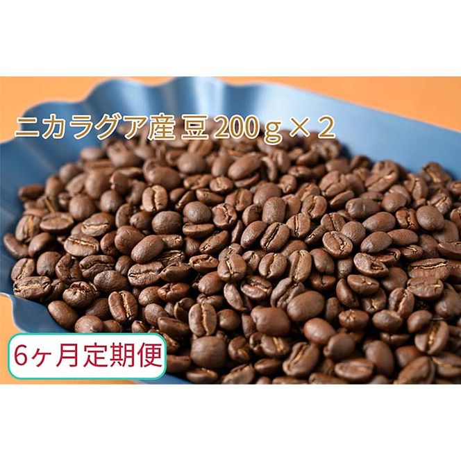 C-29【6ヶ月定期便】カフェ・フランドル厳選　コーヒー豆　ニカラグア産(200g×2)