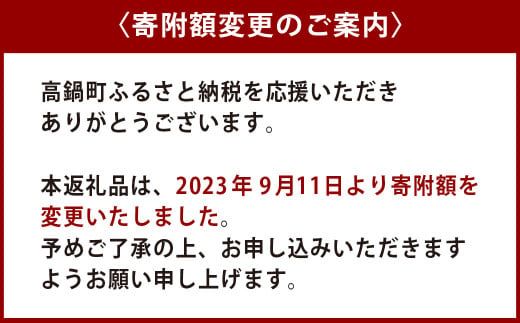 ＜アイスもなか 7種10個セット＞2か月以内に順次出荷【c592_sn_x2】 アイス 自家製 セット