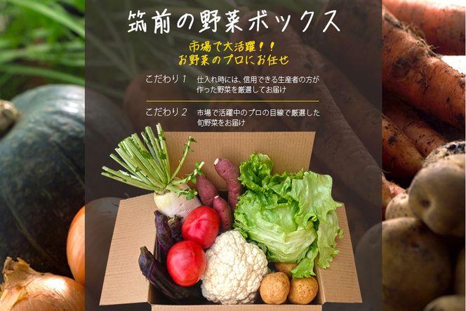 【B3-072】筑前のお野菜4～7種類【3カ月定期便】