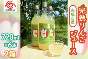 矢板市産 完熟りんごジュース《720ml×6本 2箱》｜林檎 リンゴ 果汁100% 産地直送  [0377]