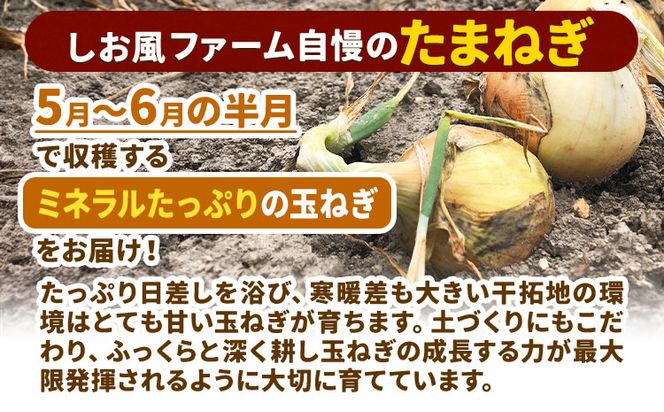 【2025年先行予約分】しお風たまねぎ 約10kg《2025年6月上旬-6月末頃出荷(土日祝除く)》 玉ねぎ たまねぎ 野菜 青果物 岡山県 笠岡市---223_786_6j6m_24_5000_10kg---