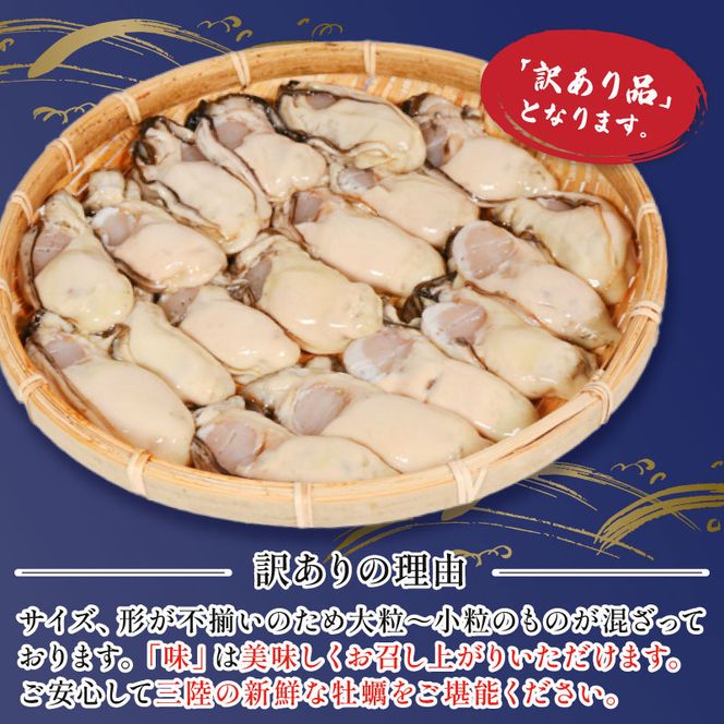 訳あり 生牡蠣 むき身 500g (加熱用) 牡蠣 剥き牡蠣 むき牡蠣 魚貝類 生かき カキ 牡蠣 むき身牡蠣 冷蔵 加熱用 牡蠣フライ 牡蠣飯 鍋 訳アリ 数量限定 期間限定 先行予約 10000円 1万円 三陸産 岩手県 大船渡市 [seikimaru001]