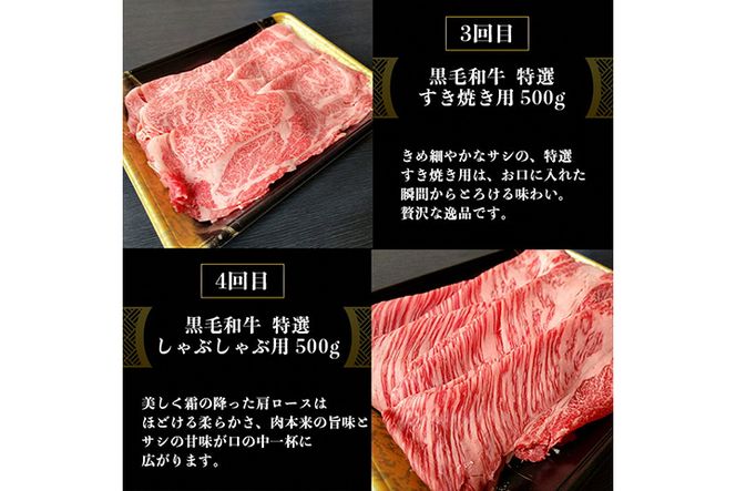 訳あり 京都府産黒毛和牛(A4・A5)人気部位 6回定期便 【焼肉・すき焼き・ステーキ2種・しゃぶしゃぶ・ローストビーフ 計2.54kg】 京の肉 ひら山 味わいづくし ≪定期便 和牛 牛肉 国産 京都 丹波産 冷凍 ふるさと納税牛肉 ふるさと納税焼肉≫