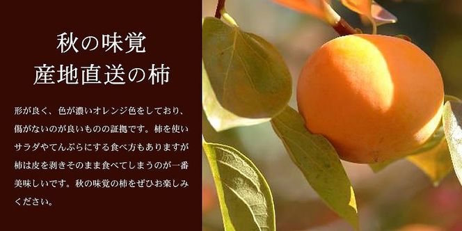 和歌山の種なし柿　約7.5kg（秀品：サイズ・品種おまかせ）／紀伊国屋文左衛門本舗XK033