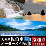 【大分県佐伯市】オリジナルオーダーメイドの旅(3000円分)【GV01】【(有)サンライズトラベル】