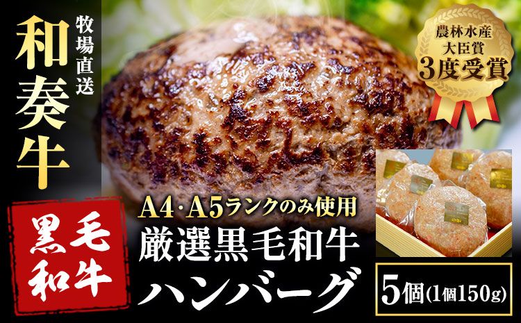 厳選くまもと黒毛和牛ハンバーグ 5個 (1個150g)[30日以内に出荷予定(土日祝除く)]熊本県 大津町 和牛焼肉LIEBE くまもと黒毛和牛 ハンバーグ 冷凍 リーベ---so_fliekrham_30d_24_15500_5p---