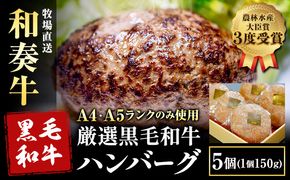 厳選くまもと黒毛和牛ハンバーグ 5個 (1個150g)《30日以内に出荷予定(土日祝除く)》熊本県 大津町 和牛焼肉LIEBE くまもと黒毛和牛 ハンバーグ 冷凍 リーベ---so_fliekrham_30d_24_15500_5p---