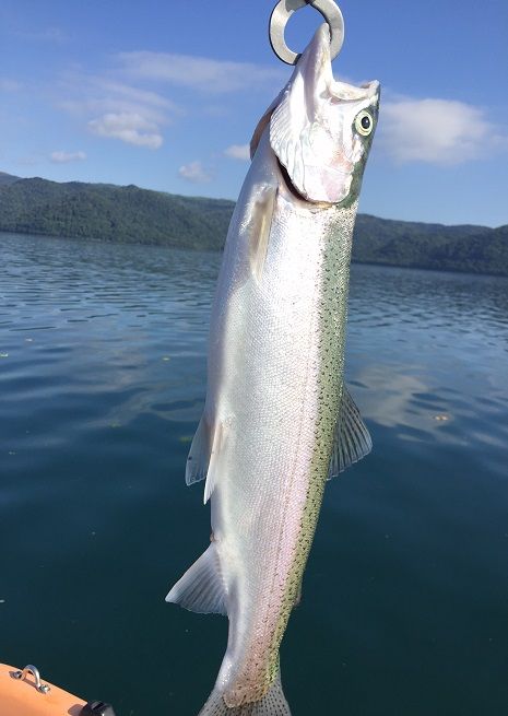 939.ワッカBBB宿泊券（３名様オホーツク釣りプラン　夕食バーベキュー）