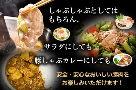 バラしゃぶしゃぶ 600g 清村養豚《60日以内に出荷予定(土日祝除く)》肉 豚 豚肉---sm_fkybsyab_60d_22_10000_600g---