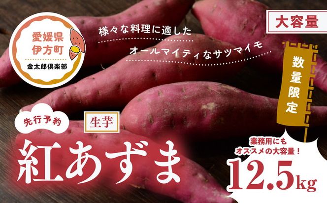 【先行予約】【数量限定】紅あずま　生芋（12.5kg）| 芋 さつまいも サツマイモ スイートポテト　※2024年12月上旬～2025年4月下旬頃に順次発送予定