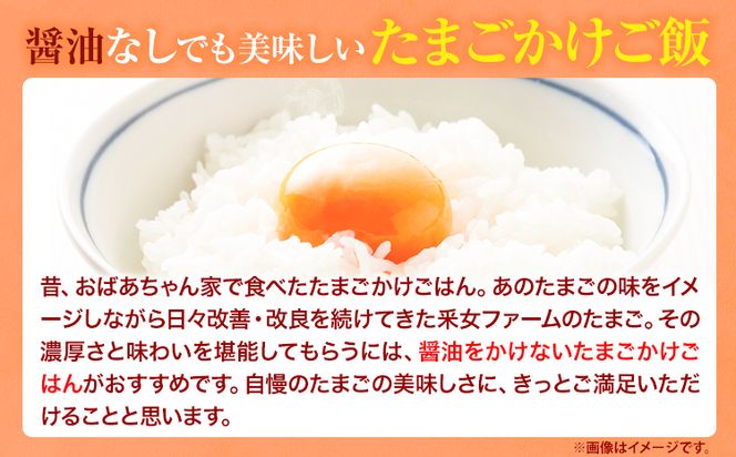 B-10 うねめもみじたまごとマヨネーズ　たまご約60個 マヨネーズ3本(250g/本) 采女ファーム 《45日以内に出荷予定(土日祝除く)》岡山県 笠岡市 たまご 卵 鶏卵 マヨネーズ セット TKG 送料無料