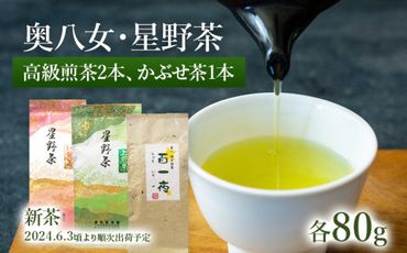 八女茶 新茶 星野村の八女茶　飲み比べ3本セット