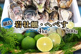 【期間限定発送】岩牡蠣 殻付き 細島 岩ガキ 約4kg 日向特産 へべす 500g セット [道の駅日向 宮崎県 日向市 452061391] いわがき 岩がき 牡蠣 日豊海岸 濃厚 クリーミー