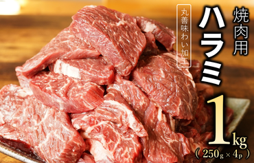 010B1347 【丸善味わい加工】牛肉 ハラミ 1kg（250g×4）