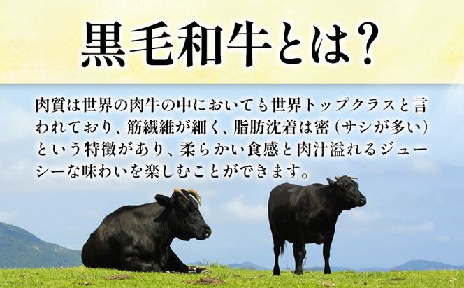 メンチカツ 黒毛和牛メンチカツ 約120g×6個 絶品 ブランド牛 黒毛和種 有限会社トップルーフ《30日以内に出荷予定(土日祝除く)》熊本県 大津町 送料無料---so_ftoplmnck_30d_23_13500_6p---