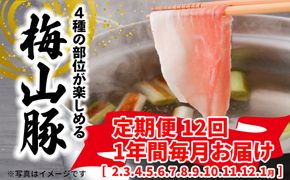 K2093 【12回毎月定期便】 塚原牧場 幻の豚 「梅山豚」 しゃぶしゃぶセット ブランド豚 メイシャントン 境町