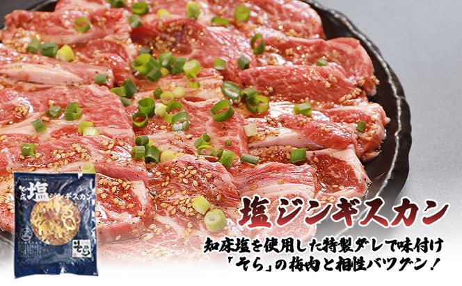 【定期便：全3回】知床ジンギスカン店「そら」知床ジンギスカン味付き「塩ダレ」生ラム肩ロース900g（300g×3）【16017】