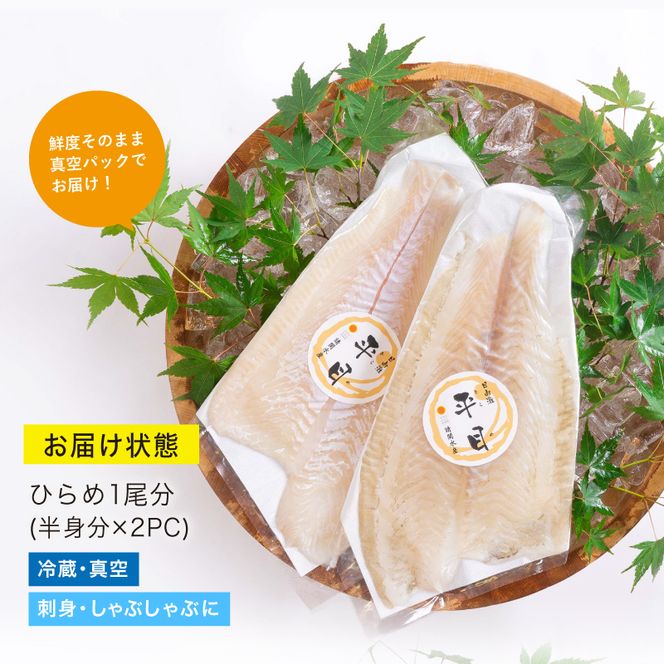 【北海道・離島配送不可】新鮮！活〆ヒラメのお刺身(1尾分：約300g～400g) お刺し身 しゃぶしゃぶ 魚介 海鮮 ひらめ 活き締め 真空パック【AP-35】【日向屋】