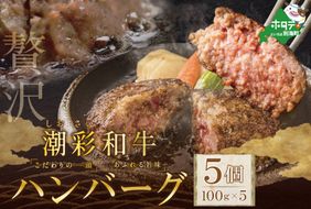 野付産【潮彩和牛】ハンバーグ100g×5個【FN0000001】