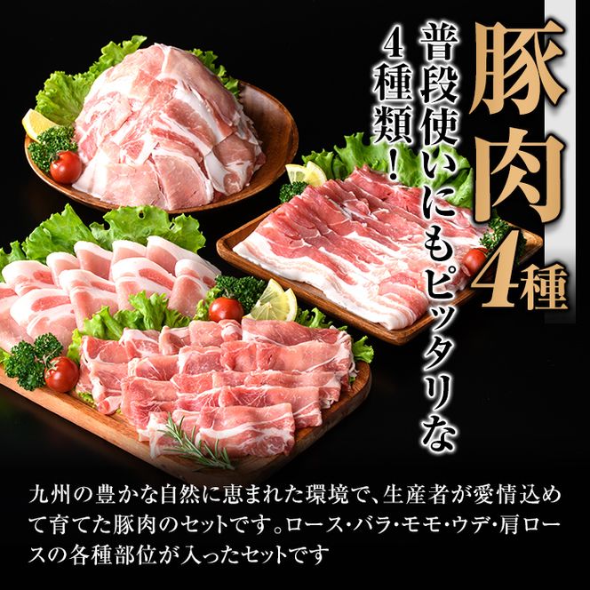 isa429 九州産 豚肉4種セット (合計2.25kg)【サンキョーミート株式会社】