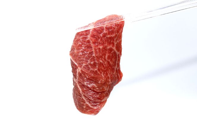 【肉職人厳選】 至福の焼肉セットB 計約1kg 最高等級A5ランク 仙台牛 加美町産ブランド豚 おだしまポーク 国産鶏せせり [関精肉畜産 宮城県 加美町 44581358] 牛カルビ 焼き肉 牛 豚