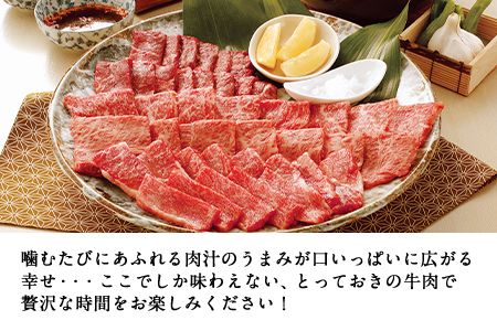 熊本県産 あか牛 焼き肉用 400g《120日以内に出荷予定(土日祝除く)》肉のみやべ---mifune_myb_38_400g---