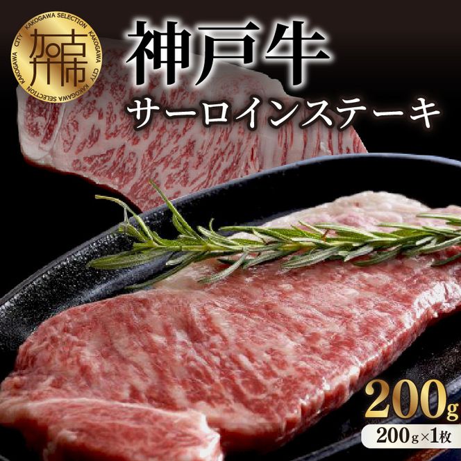 yɌÐsz_ˋT[CXe[Li200g×1jy2402A00103z