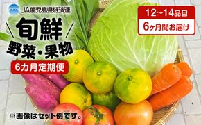 【JA直売所セレクト】6ヵ月定期便！旬鮮野菜・果物セット（12～14品目）　K072-T01