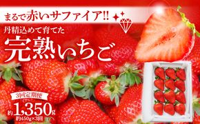 （予約受付中）【いちご定期便】（1月2月3月お届け）まるで赤いサファイア!!丹精込めた完熟いちご!! 約450g×3回 H130-013
