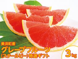 美浜町産グレープフルーツ（スタールビー）特選ギフト　6-7玉（約3kg）　※2026年5月上旬〜7月上旬頃に順次発送予定