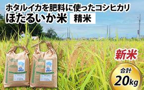【先行予約】【新米】ほたるいか米（新米/精米20kg）25年10月以降順次配送予定
