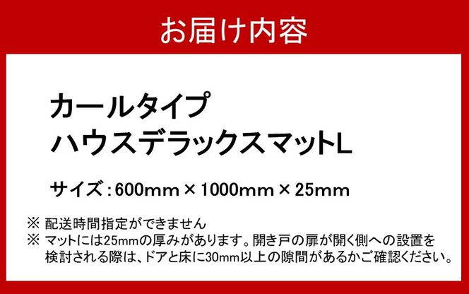 玄関マット 汚れ落とし ハウスデラックスマット カールタイプL 60cm×100cm _2316R