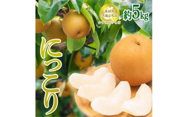 【先行予約限定】 茨城県産【にっこり梨】約5kg【茨城県共通返礼品　かすみがうら市産】※2024年9月下旬～10月下旬頃に順次発送予定 ※離島への配送不可