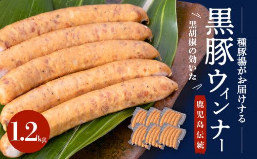 ysz؏ꂪ͂鎭`̍؁@Ӟ̌؃ECi[@K125-002