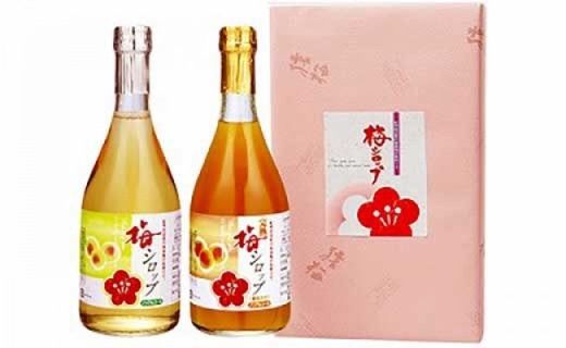 ya̎RLc쒬z~W[X@~Vbv(nZbg590v2{jIB썂~gp