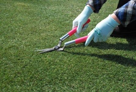 小さくてもほんまもんのお庭の道具２点セット