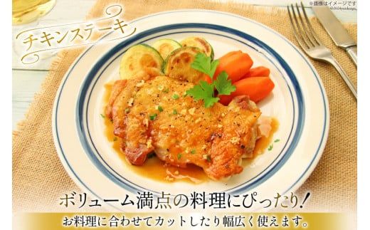 定期便 肉 鶏肉 6回定期便 若鶏もも身11~12パック 計3kg [九州児湯フーズ 宮崎県 美郷町 31aj0034] 冷凍 小分け 個包装 鶏もも肉 もも肉 モモ肉