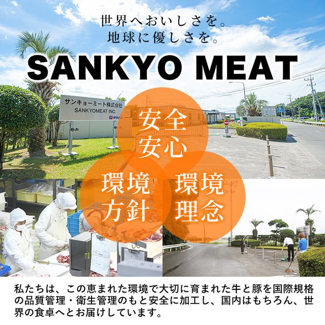 鹿児島県産！黒毛和牛サーロインステーキA4等級以上(200g×2枚・計400g) a9-001