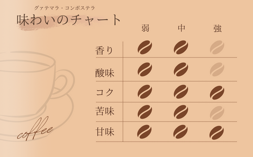 BR-11 【自家焙煎】カフェ・フランドル グァテマラ・コンポステラ（200g・豆）